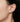 Tanisy Moissanite Eight Prong Stud Earrings