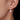 Moissanite 1Ct Hoop Earrings